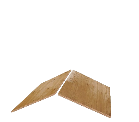 Action Roofing & Construction Images